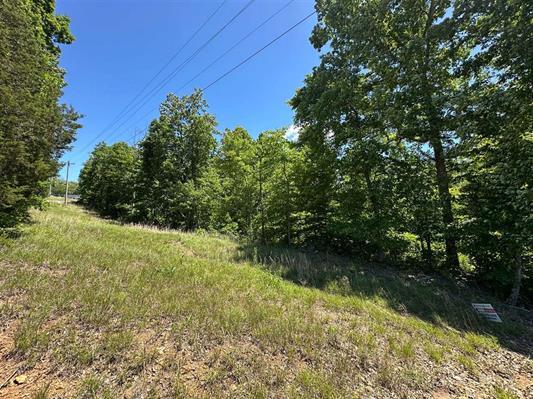 1 Riverside Benleo Road Bowling Green, KY 42101 - Photo 10 of 15 10