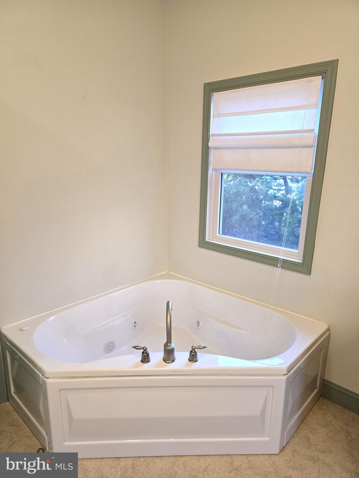 26770 Deep Branch Road Milton, DE 19968 - Photo 21 of 56