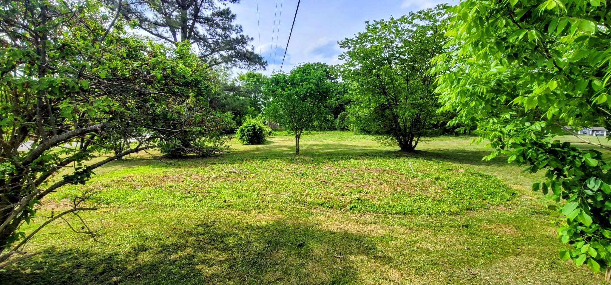 19 Turkey Scratch Road Spencer, TN 38585 - Photo 5 of 27 a view of yard with green space