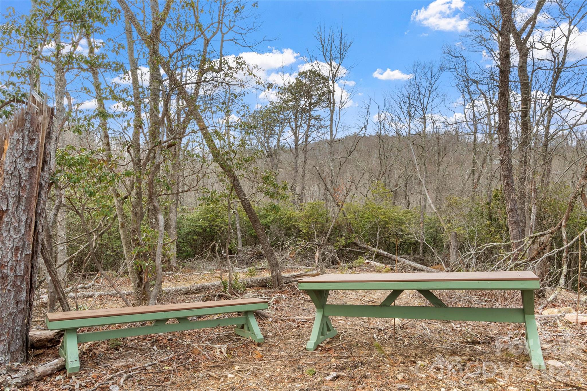 87 Trails End Road, Unit 28 Spruce Pine, NC 28777 - Photo 4 of 14