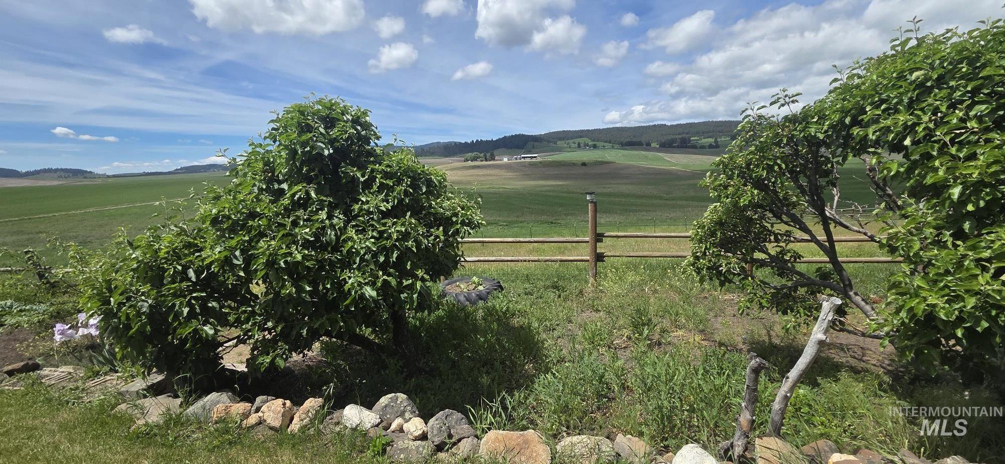 394 Substation Road Cottonwood, ID 83522 - Photo 10 of 37 Expansive open landscape with distant mountains, featuring a gravel drive, green grass, and mature trees