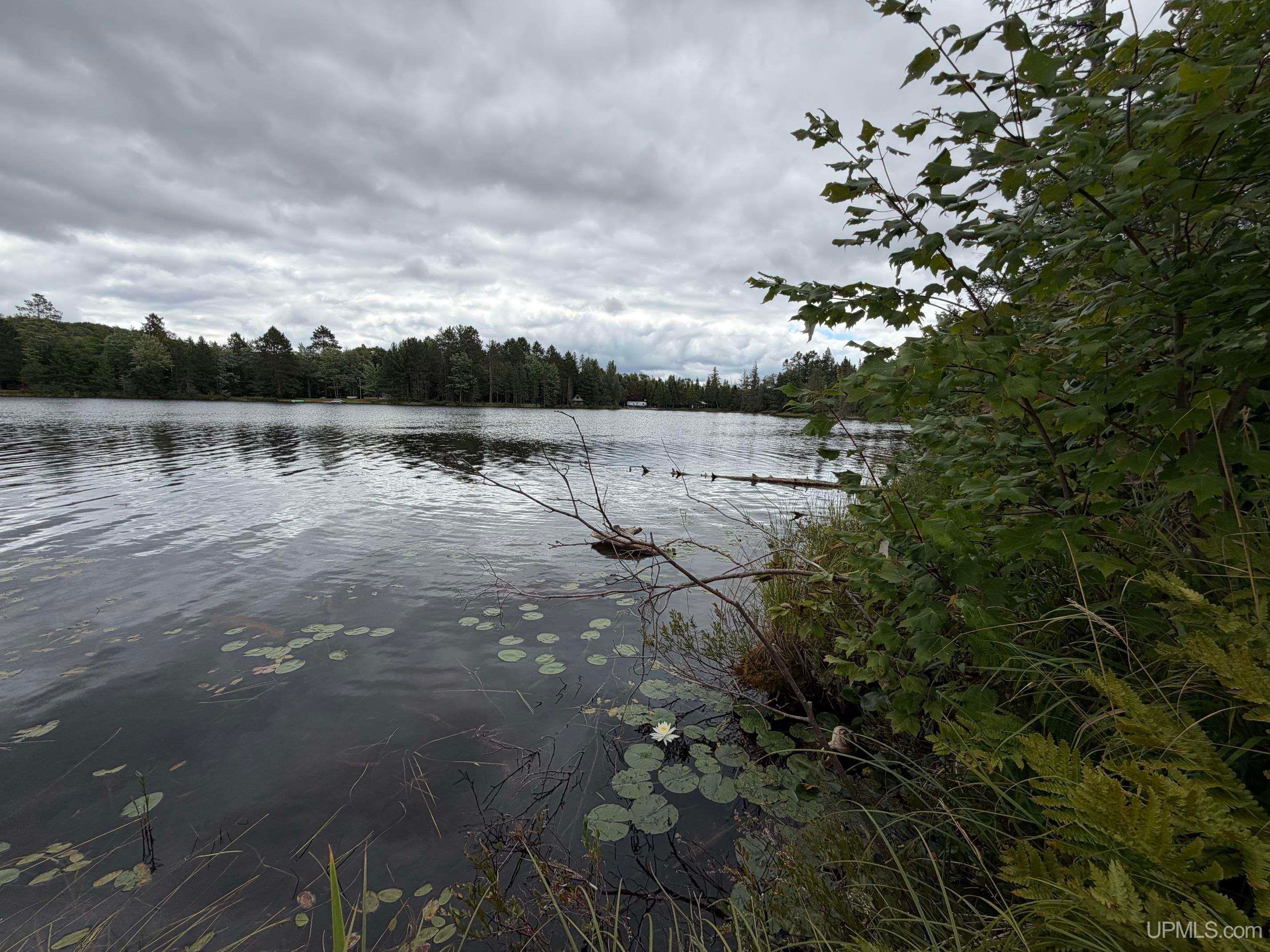 Tbd North Casey Lake Road Ishpeming, MI 49849 - Photo 1 of 19 Gallery Image 1