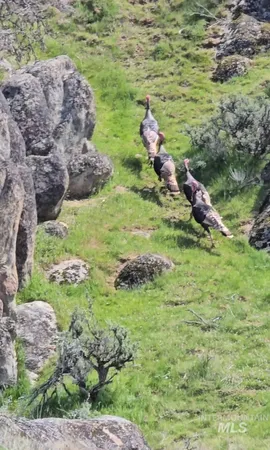 $1,700,000 | 11315 Timber Butte Road, Sweet, ID 83670