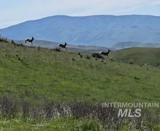 $1,700,000 | 11315 Timber Butte Road, Sweet, ID 83670