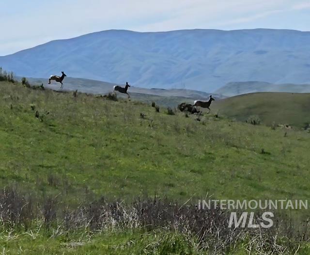 11315 Timber Butte Road Sweet, ID 83670 - Photo 19 of 24