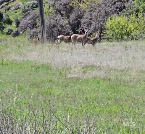 $1,700,000 | 11315 Timber Butte Road, Sweet, ID 83670