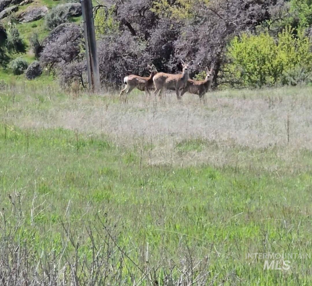 11315 Timber Butte Road Sweet, ID 83670 - Photo 20 of 24