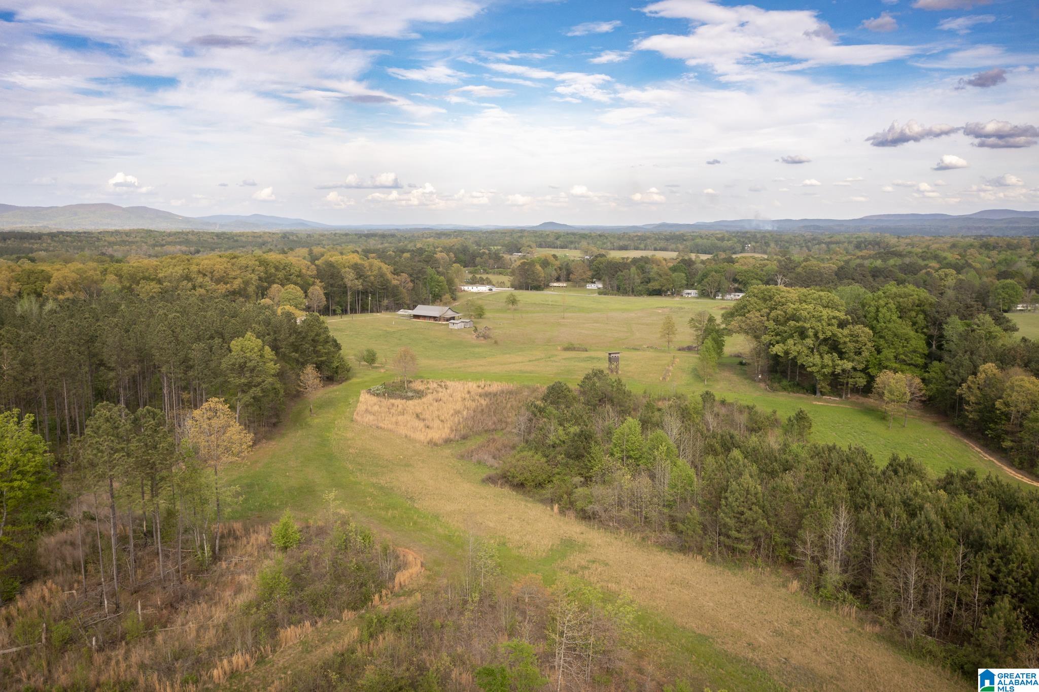 1325 Ledbetter Road Munford, AL 36268 - Photo 25 of 85