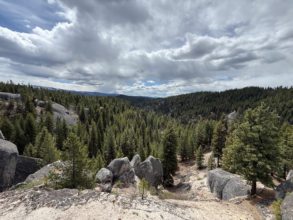 Tbd Horsethief Road Cascade, ID 83611 - Photo 11 of 15 Looking South from the Ridge Towards Big Creek