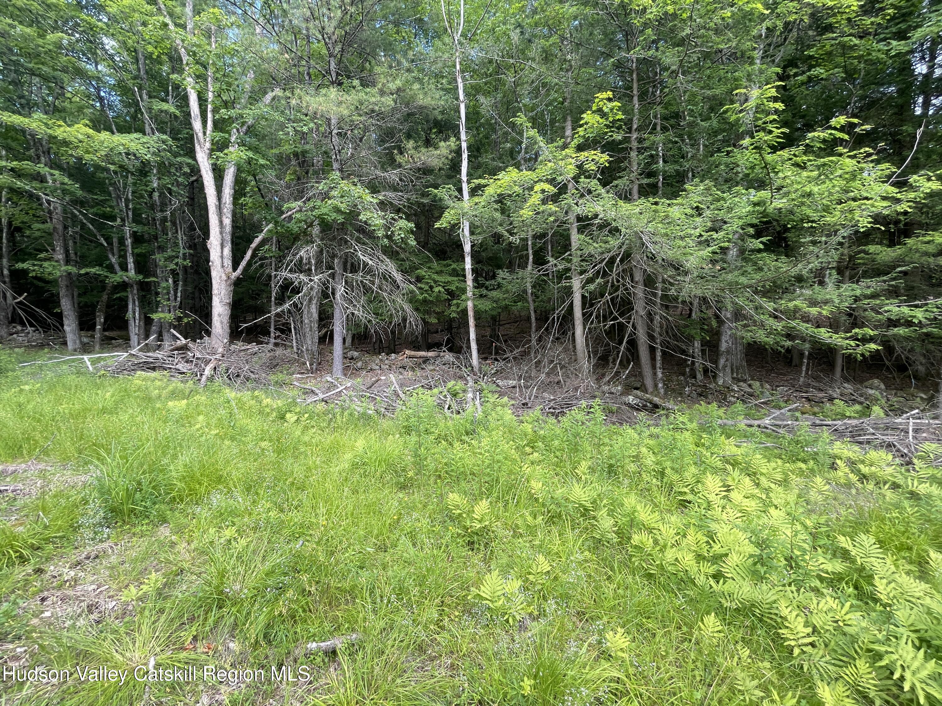 Tbd Boulder Brook Road Windham, NY 12496 - Photo 4 of 49 IMG_0600