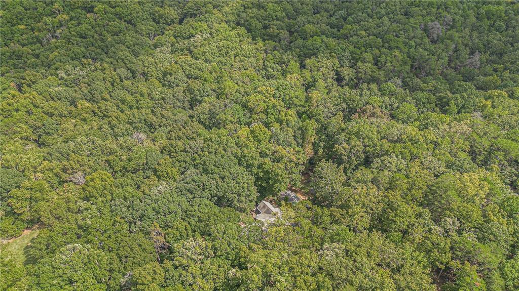 2170 Taylorsville Road Taylorsville, GA 30178 - Photo 30 of 48 a view of a lush green field