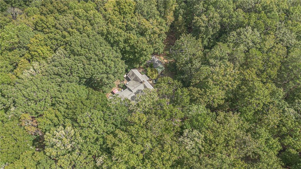 2170 Taylorsville Road Taylorsville, GA 30178 - Photo 31 of 48 a close up of a tree in a field