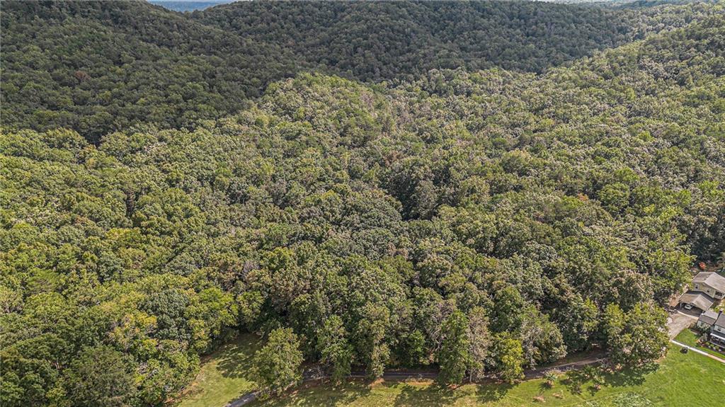 2170 Taylorsville Road Taylorsville, GA 30178 - Photo 32 of 48 a view of a dry yard with green space