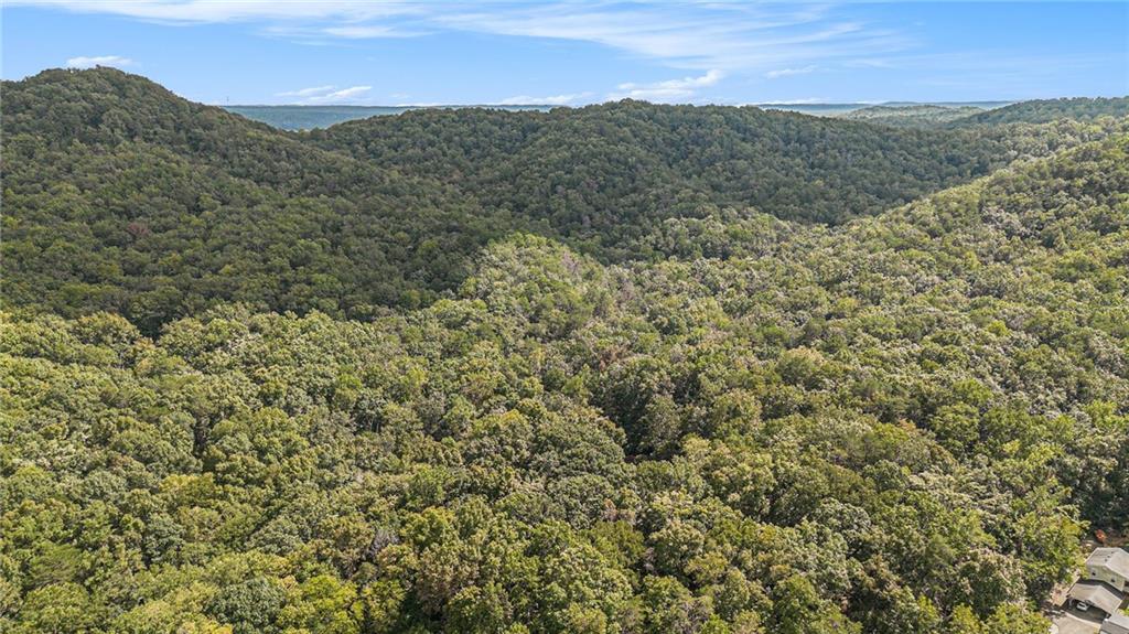 2170 Taylorsville Road Taylorsville, GA 30178 - Photo 33 of 48 a view of a dry yard