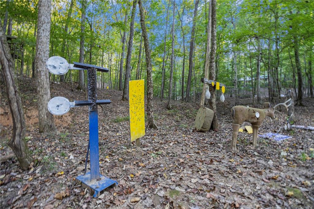 2170 Taylorsville Road Taylorsville, GA 30178 - Photo 44 of 48 a view of a park with swings