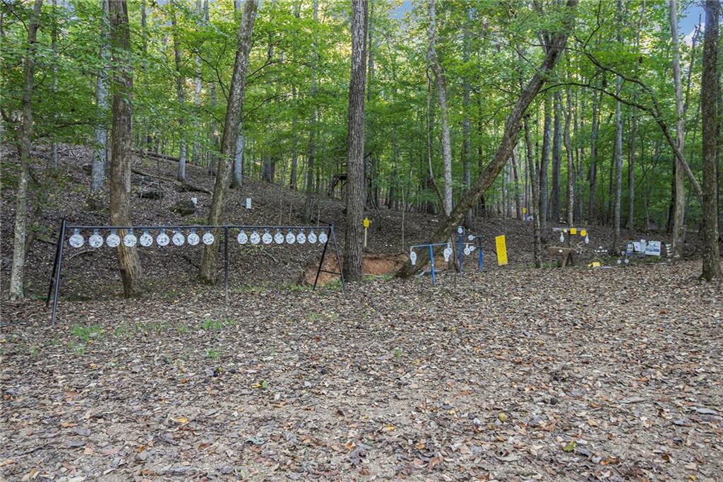 2170 Taylorsville Road Taylorsville, GA 30178 - Photo 45 of 48 a view of outdoor space with sink and trees