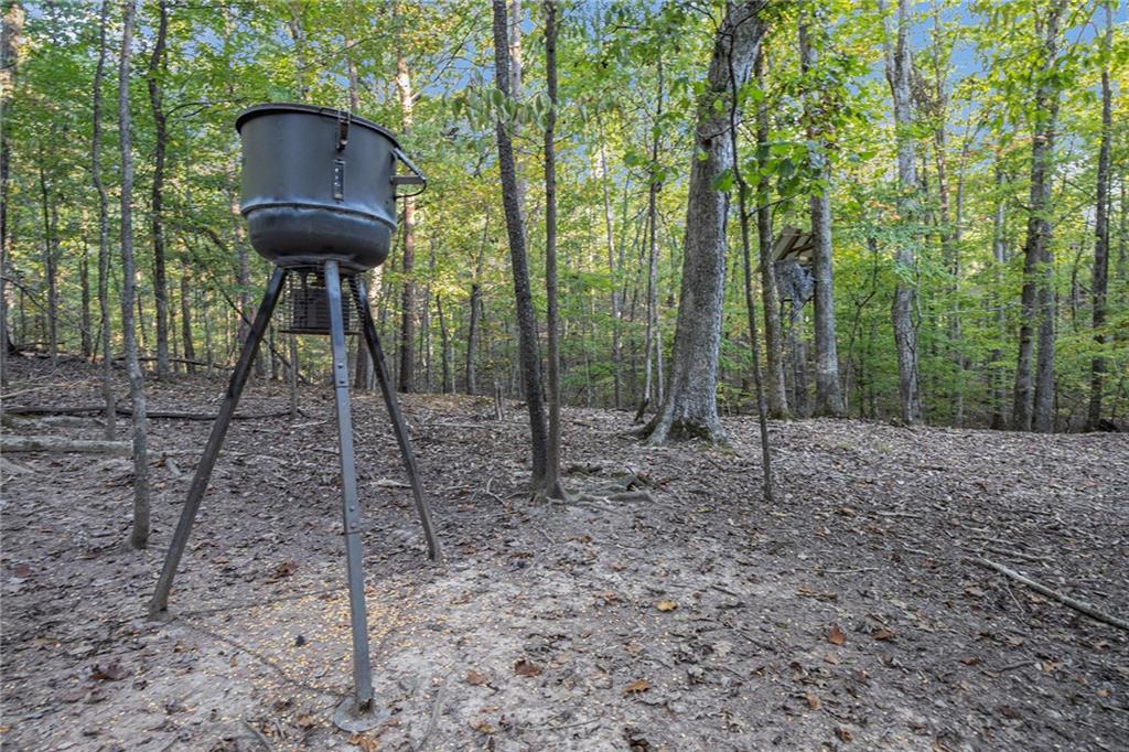 2170 Taylorsville Road Taylorsville, GA 30178 - Photo 46 of 48 a view of a park
