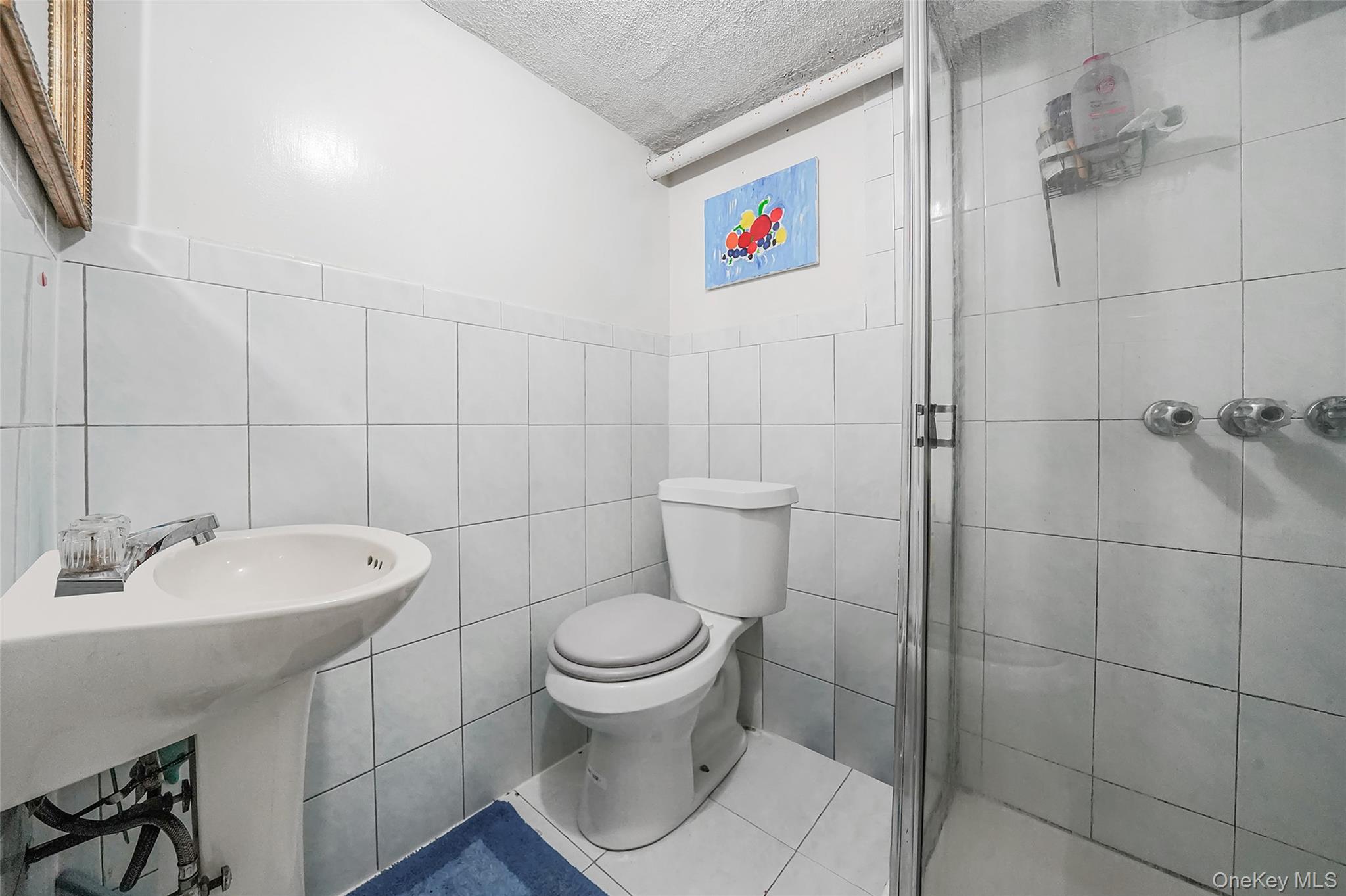 141 Branton Street Brooklyn, NY 11236 - Photo 15 of 20 a bathroom with a toilet and a sink