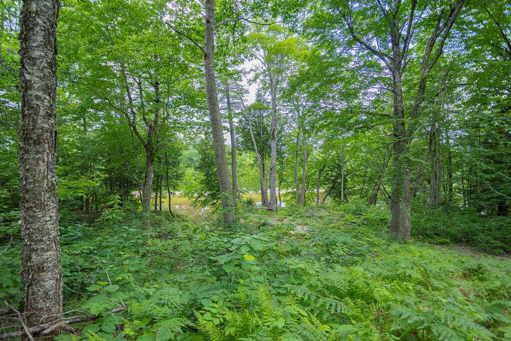 116 B Intervale Road New Sharon, ME 04955 - Photo 30 of 54 srr-25