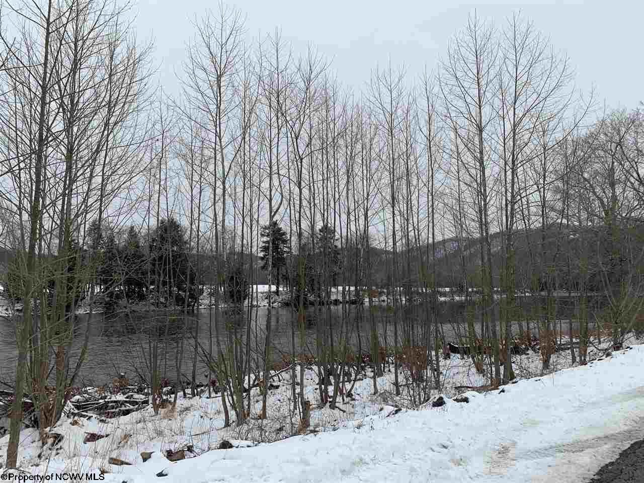 972 River Bend Estate Road Parsons, WV 26287 - Photo 11 of 28 Gallery Image 11