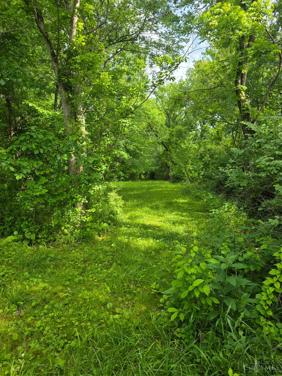 0 Fagins Run Road New Richmond, OH 45157 - Photo 24 of 28