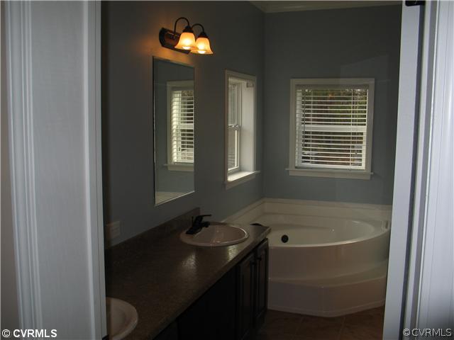 19600 Log Disputanta, VA 23842 - Photo 4 of 9 a bathroom with a sink a bathtub and a window