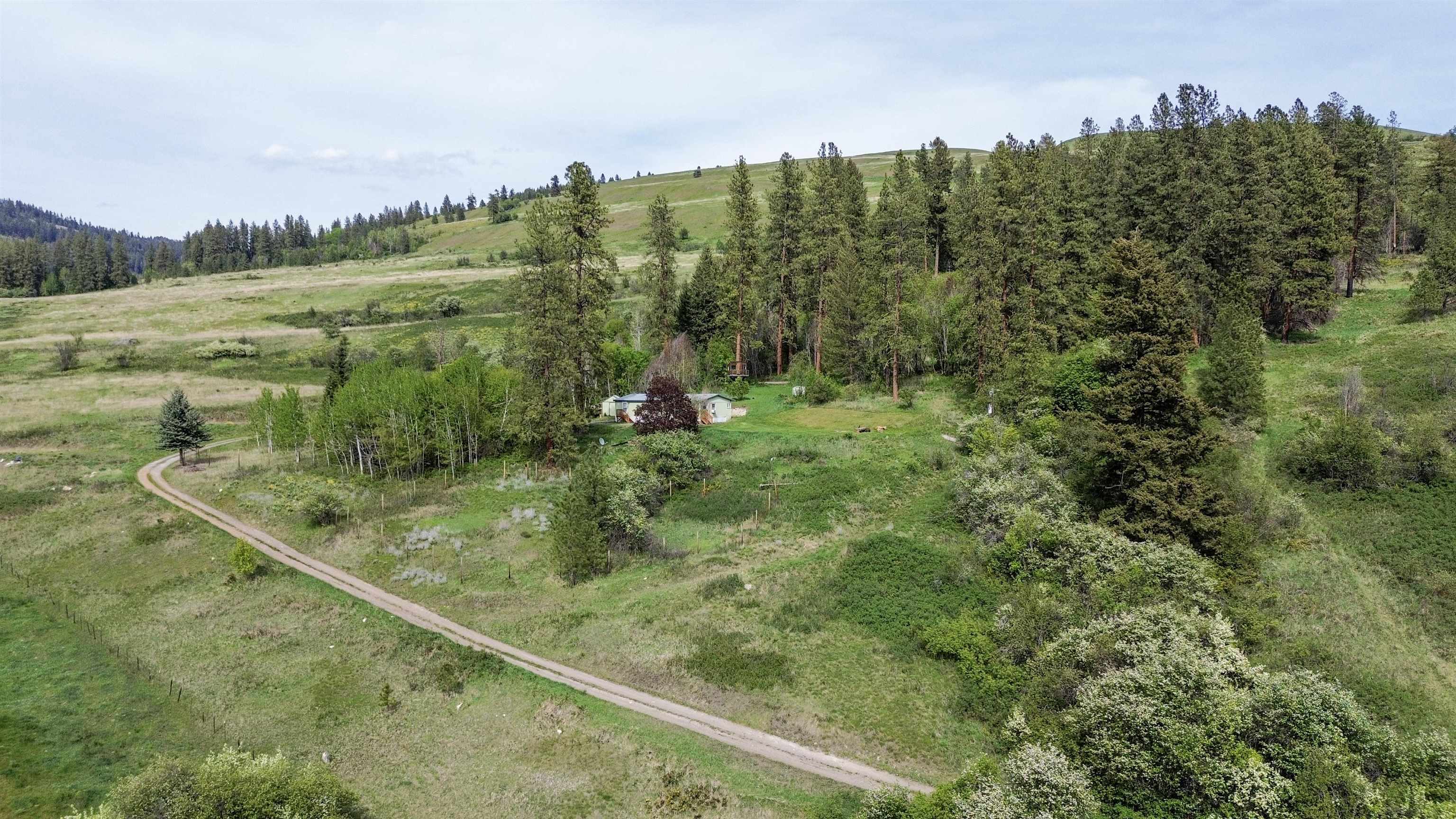 2897 McNitt Road Kettle Falls, WA 99141 - Photo 27 of 47