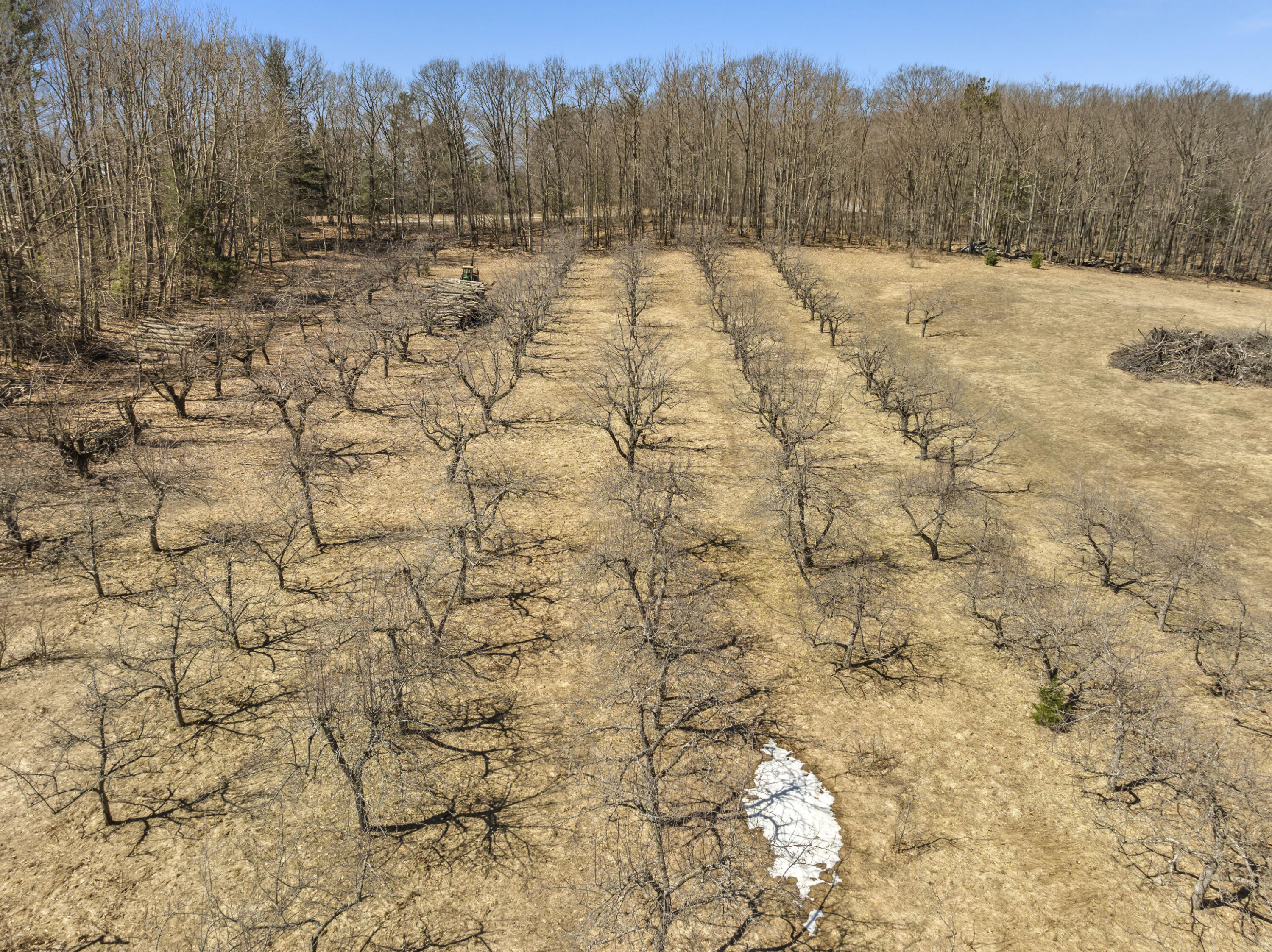 4457 Maidens Road Onekama, MI 49675 - Photo 55 of 56 DJI_20260409130558_0125_D