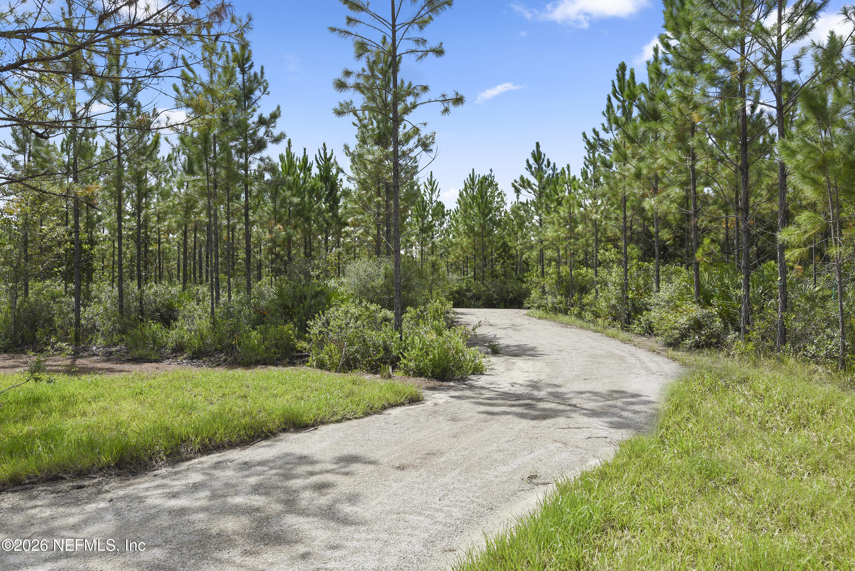 73 Bluebonnet Way Street St. Augustine, FL 32092 - Photo 48 of 48 Nature Trails