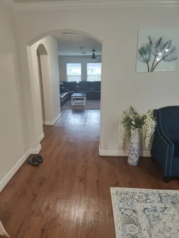 a living room with furniture and a potted plant
