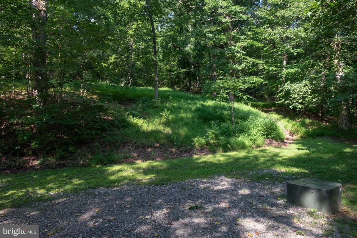 630 Cherry Hill Road Street, MD 21154 - Photo 2 of 13 Looking up to former building site.