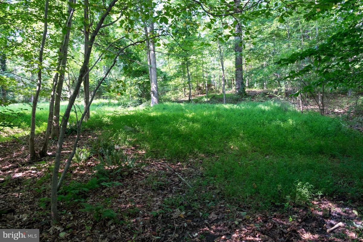 630 Cherry Hill Road Street, MD 21154 - Photo 11 of 13 View