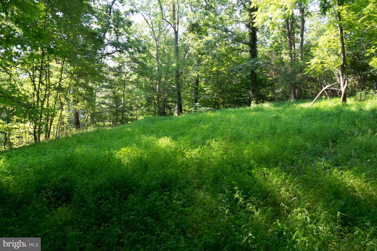 630 Cherry Hill Road Street, MD 21154 - Photo 3 of 13 Former building site
