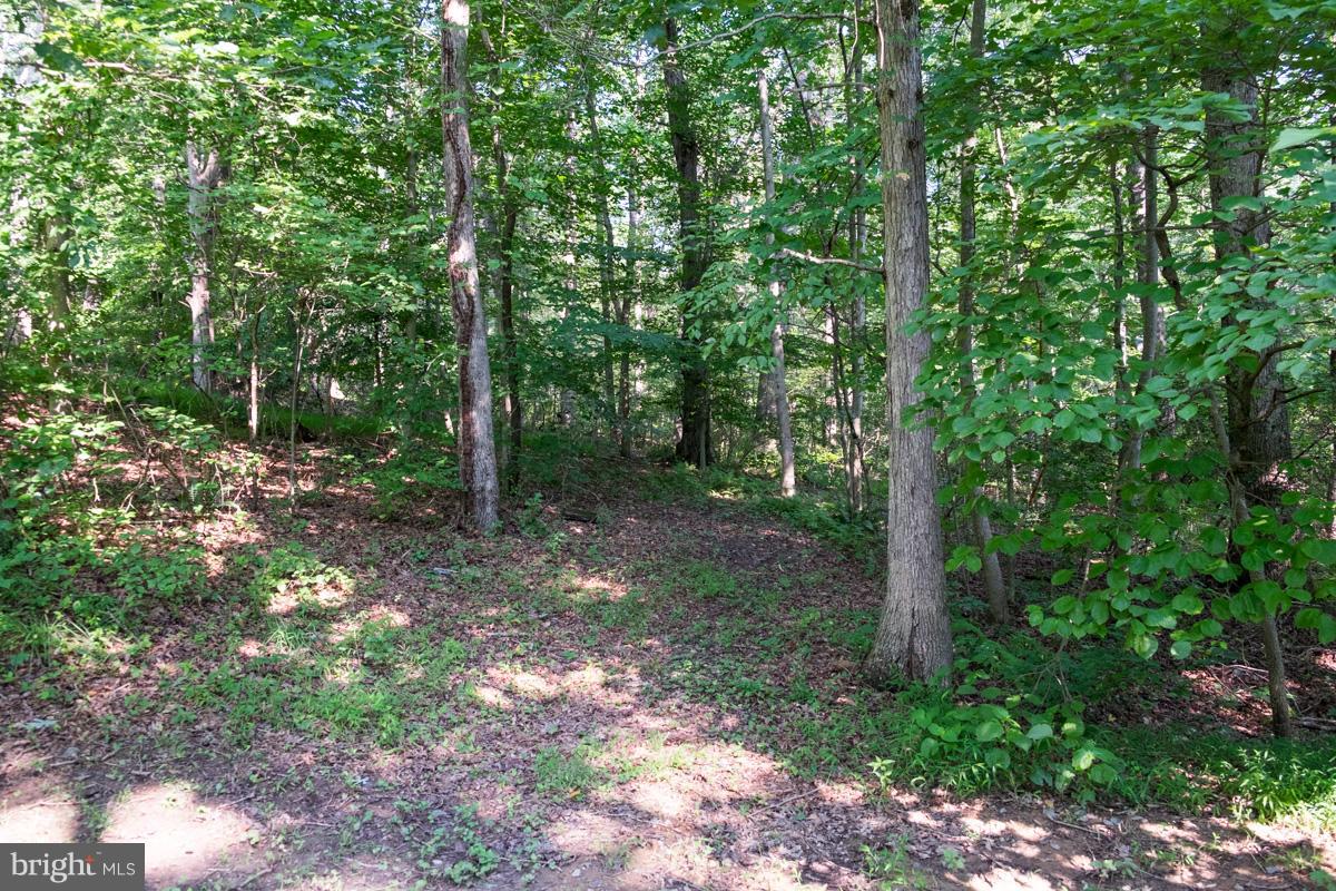 630 Cherry Hill Road Street, MD 21154 - Photo 4 of 13 View