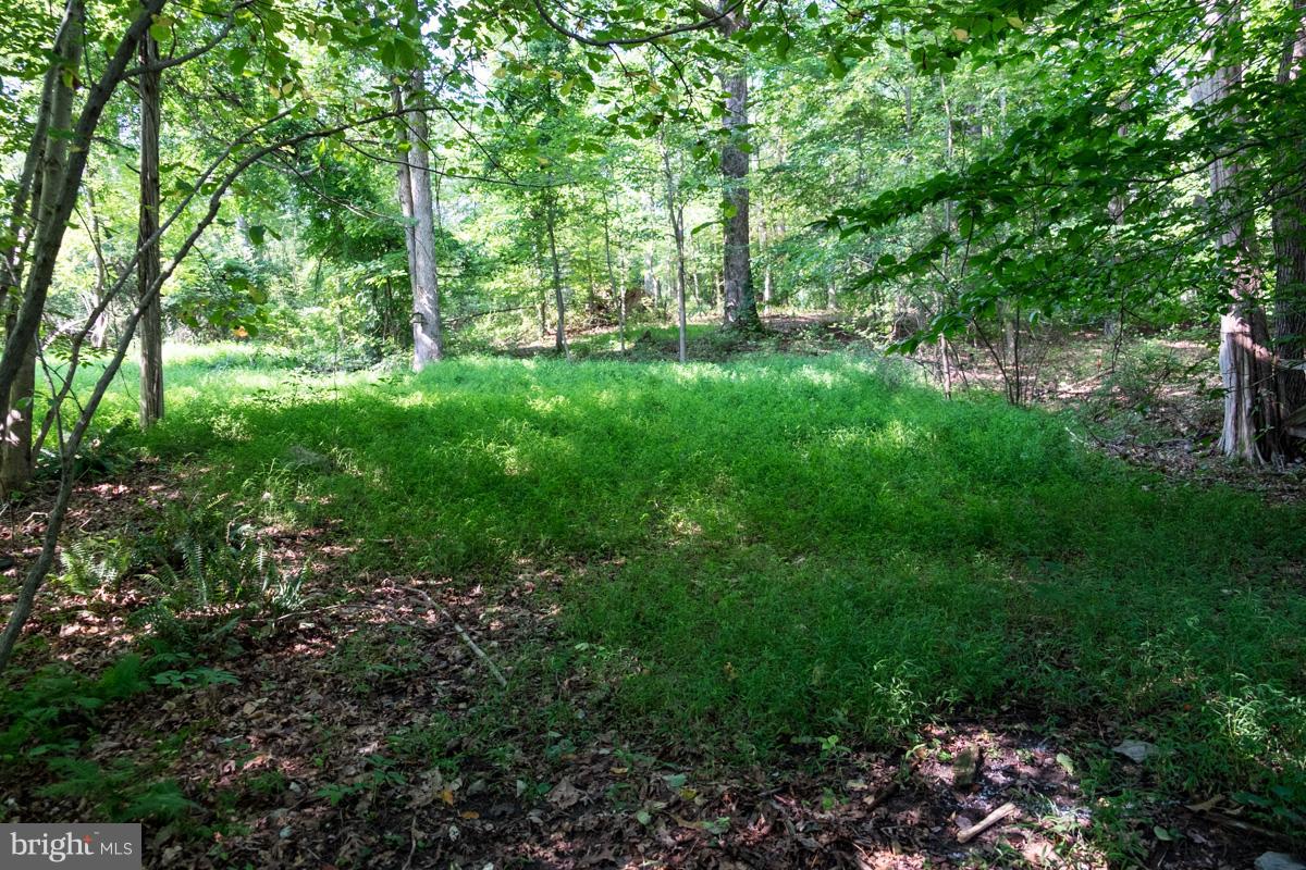 630 Cherry Hill Road Street, MD 21154 - Photo 7 of 13 View