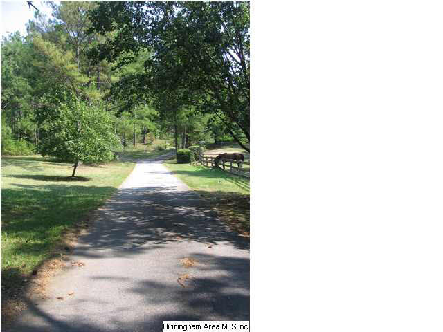 123 Caldwell Mill Road Bessemer, AL 35023 - Photo 2 of 6