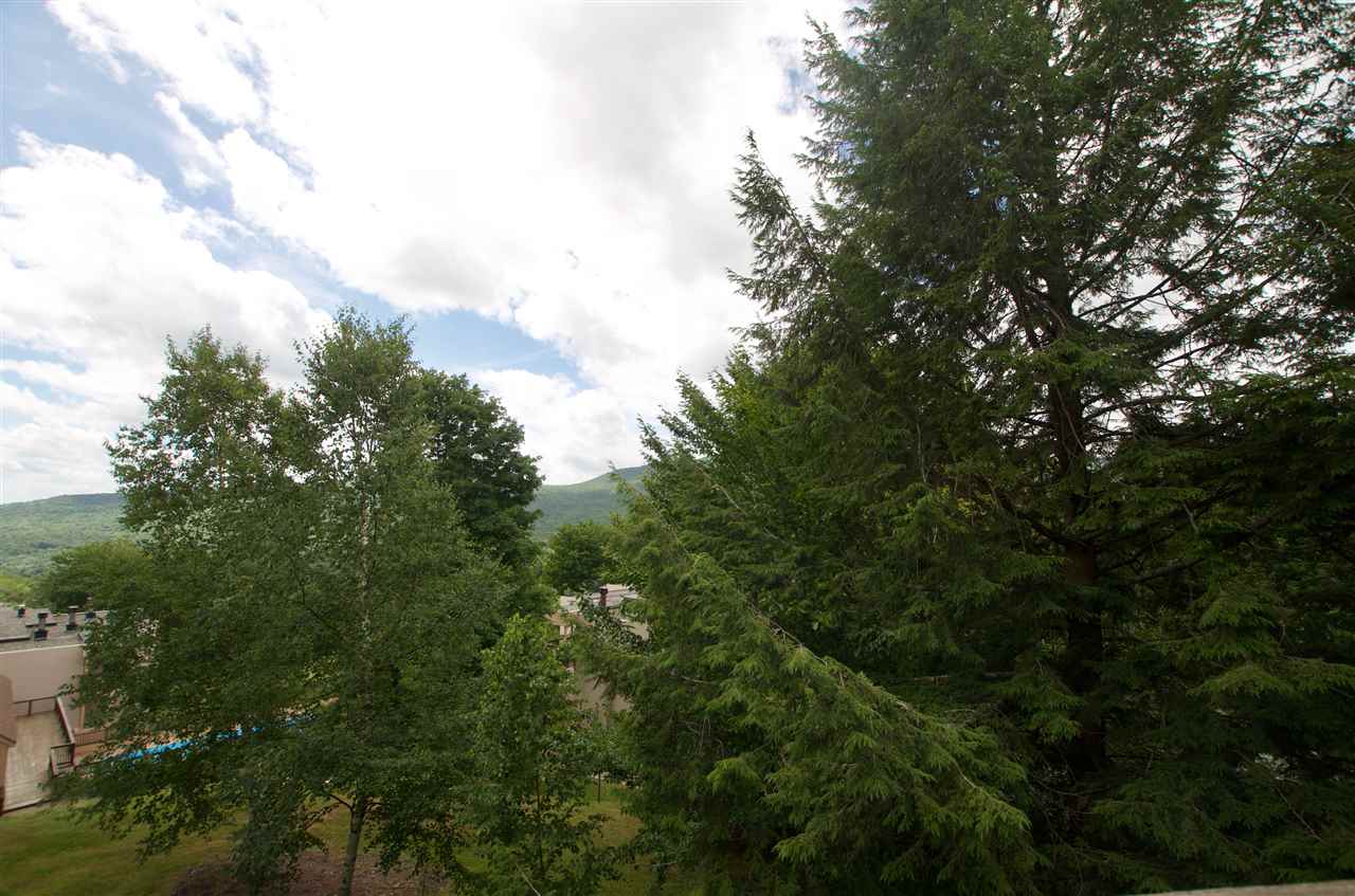 1277 Notchbrook Road, Unit 12AB Stowe, VT 05672 - Photo 24 of 24 Gallery Image 24