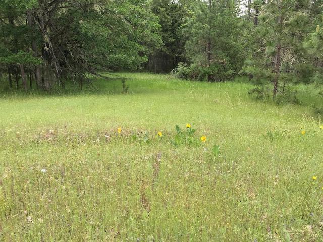 4891 Pleasant Creek Road Rogue River, OR 97537 - Photo 32 of 34 IMG_6401