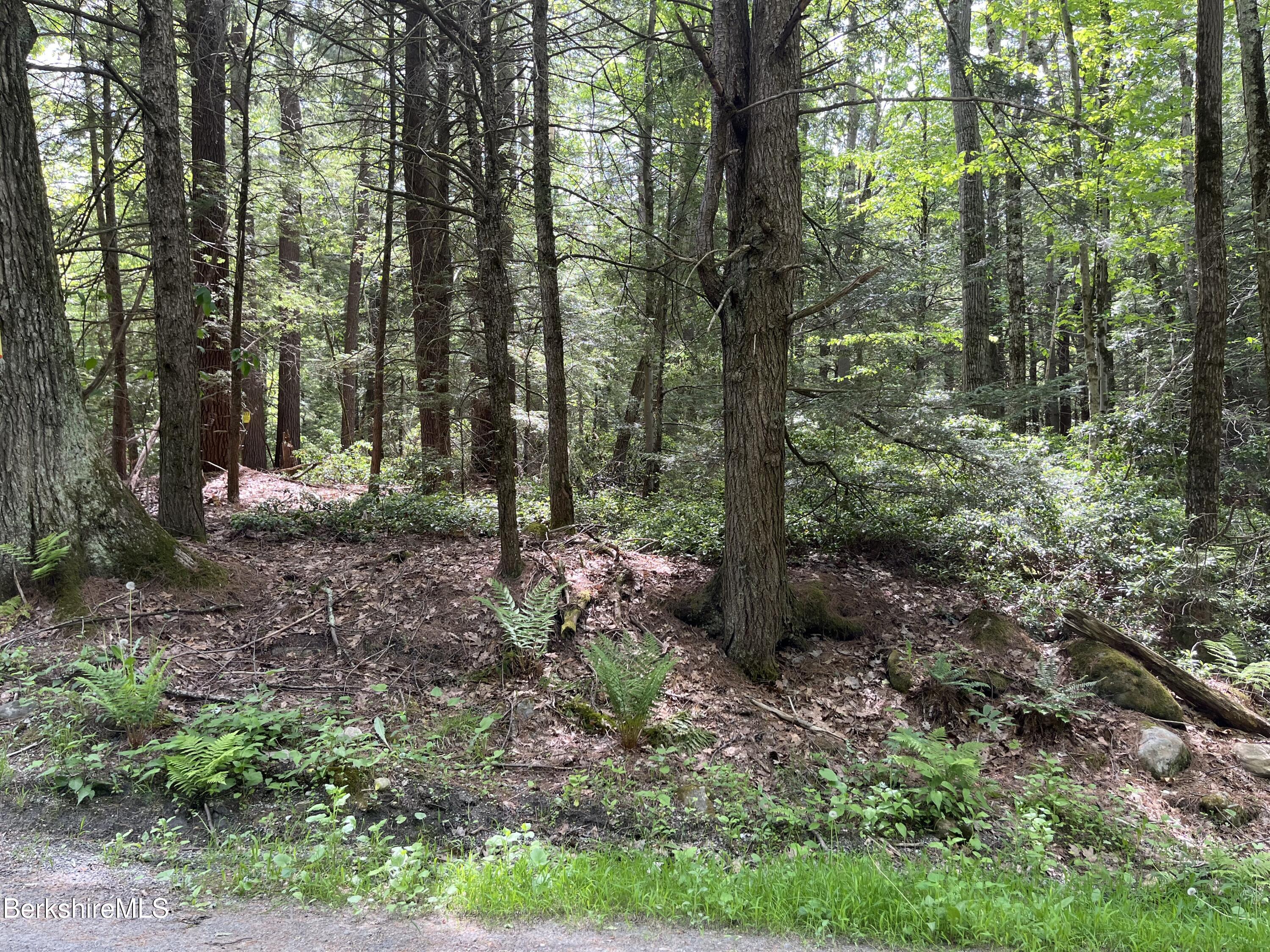 Lot 84 Churchill Road East Otis, MA 01029 - Photo 10 of 18 L 84 I