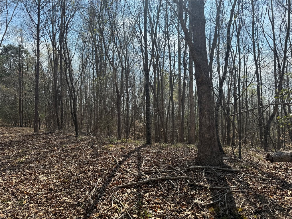 0 Holland Ford Road Pelzer, SC 29669 - Photo 29 of 35