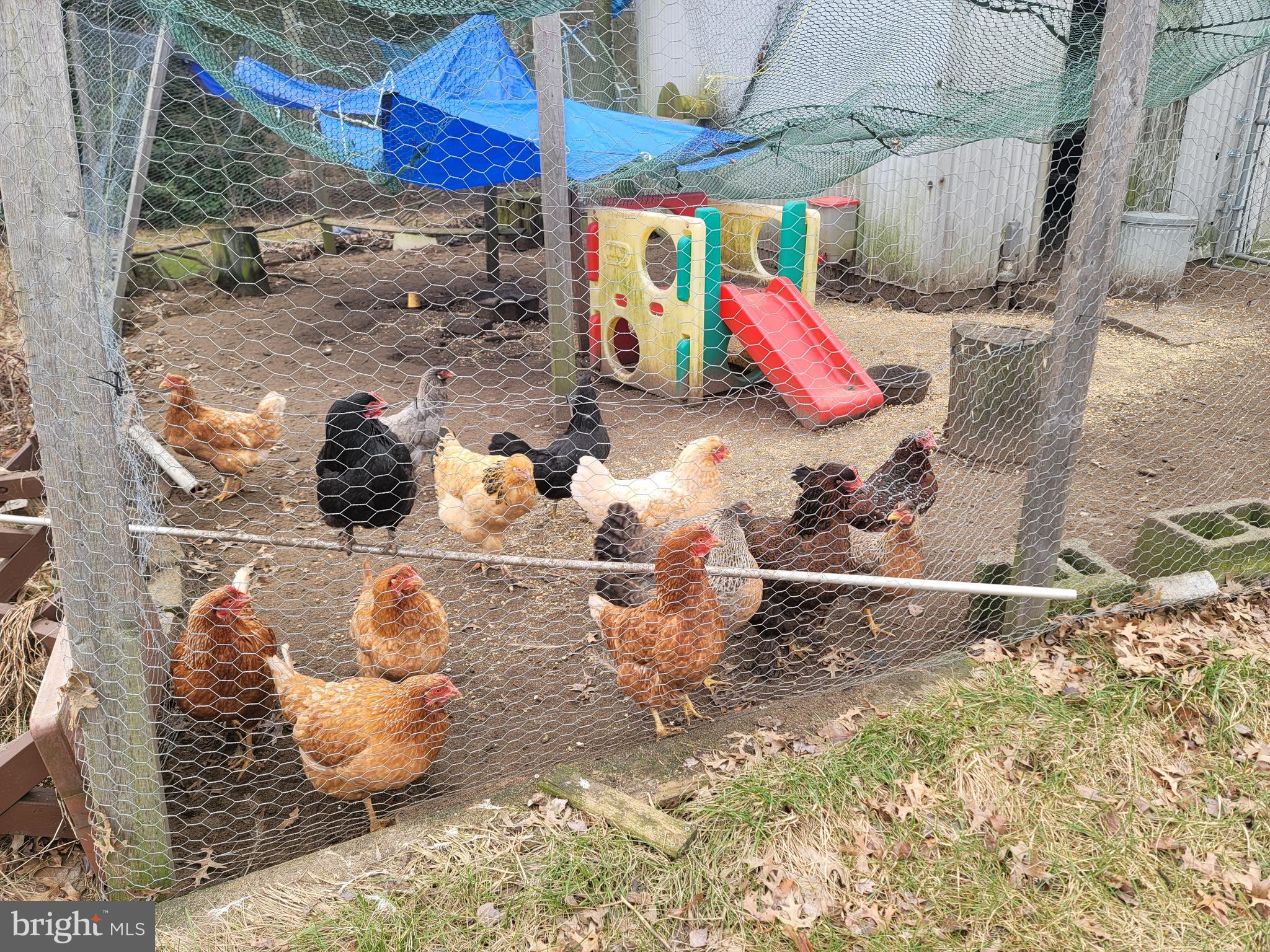 405 Tomlin Road Gibbstown, NJ 08027 - Photo 22 of 26