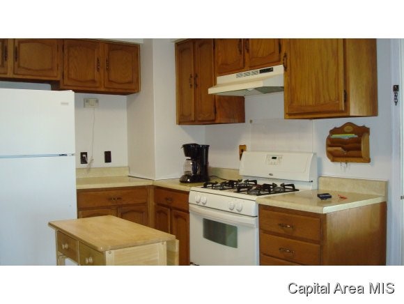 3136 South 5th Street Springfield, IL 62703 - Photo 3 of 18