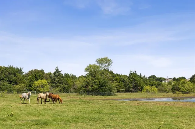 a view of a park with large trees