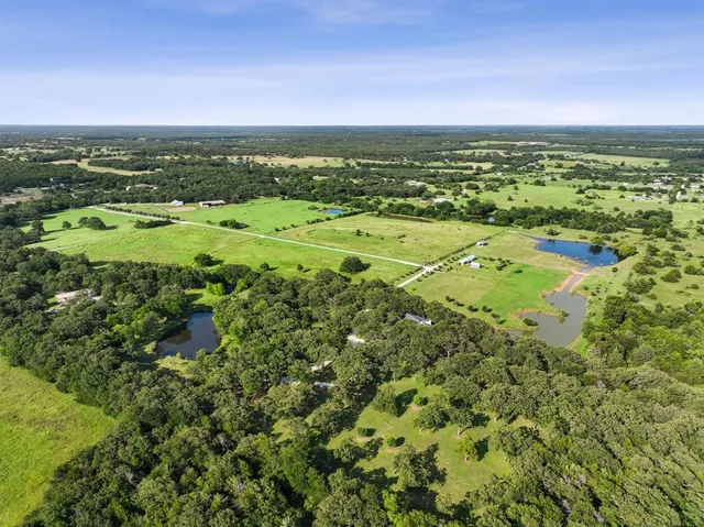 a view of city with ocean