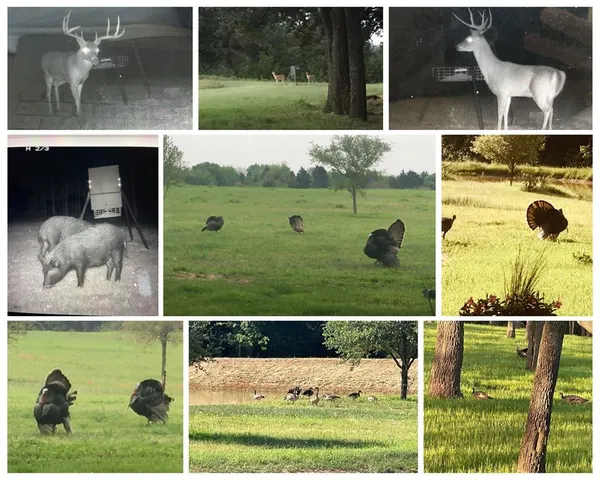 a view of swimming pool from a balcony
