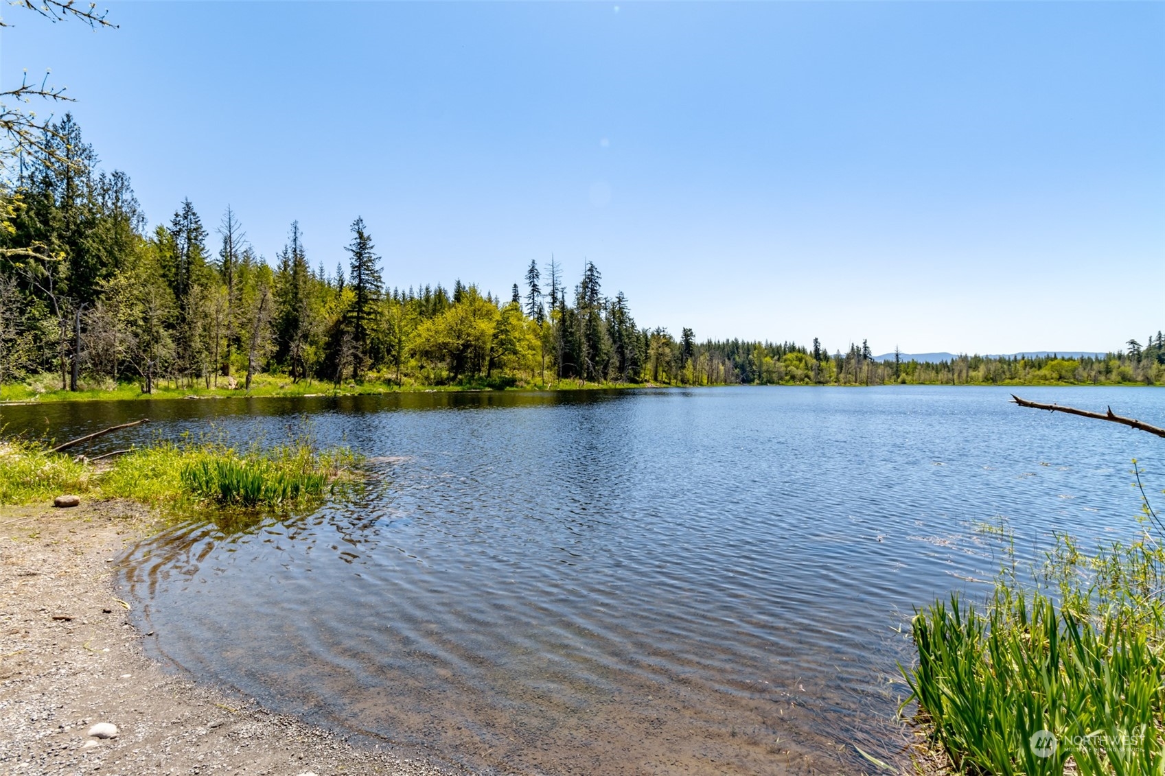 40728 Tanwax Road East Roy, WA 98580 - Photo 39 of 40 Gallery Image 39