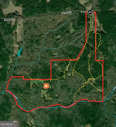 $705,925 | 282.37-ac West Ellis Road, Griffin, GA 30223