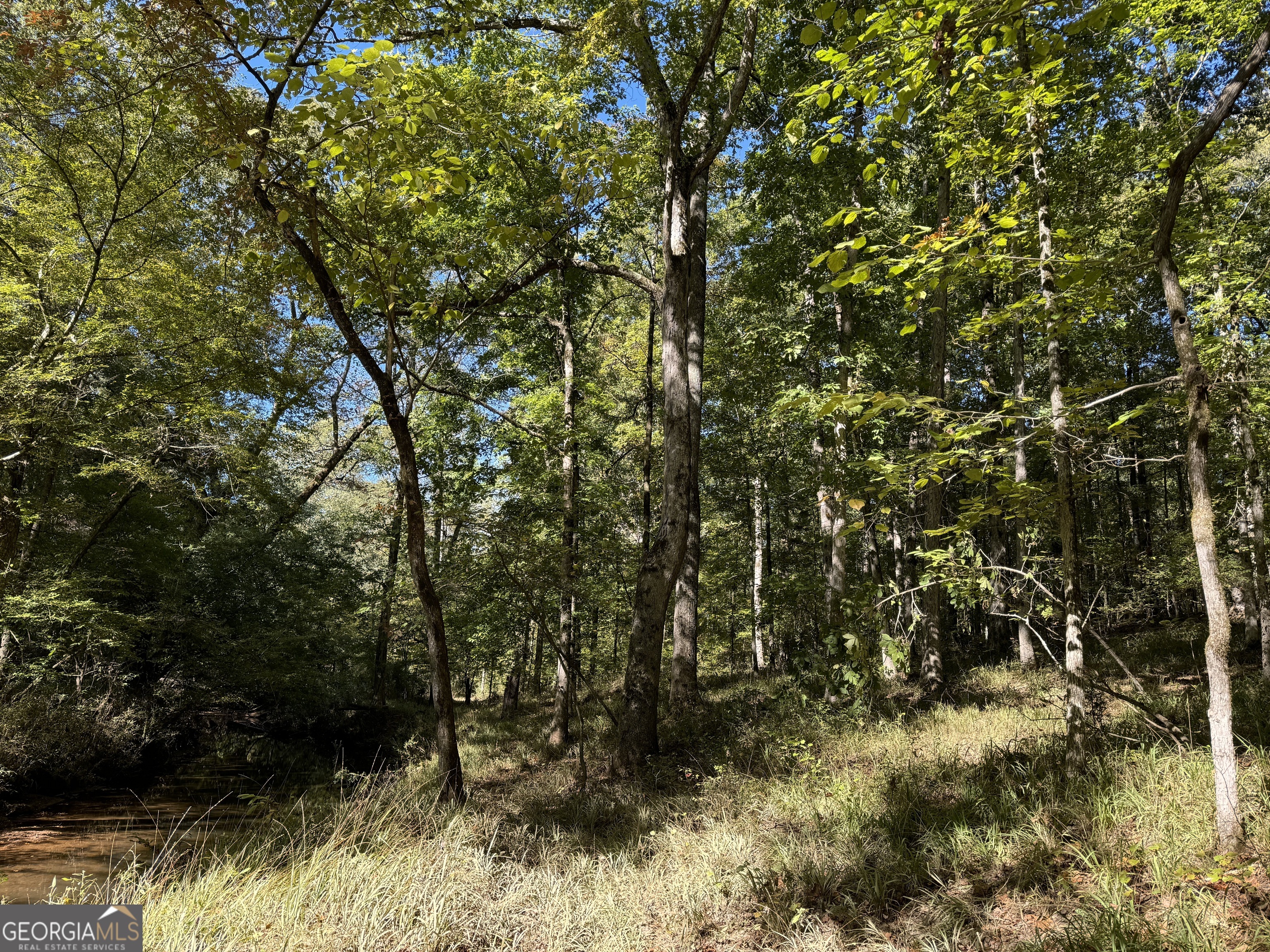 282.37-ac West Ellis Road Griffin, GA 30223 - Photo 11 of 15