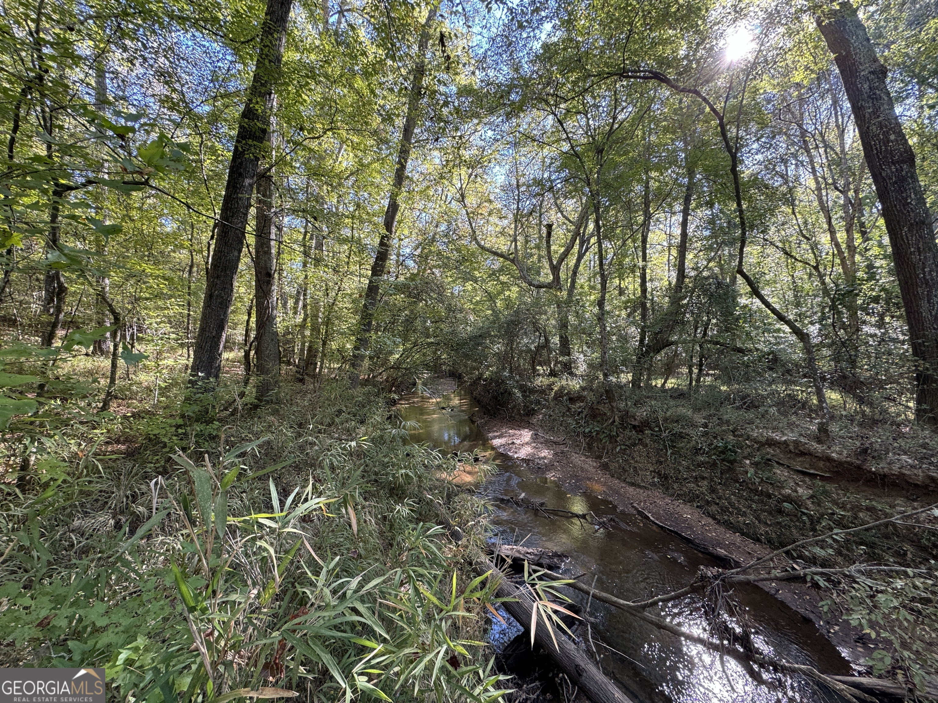 282.37-ac West Ellis Road Griffin, GA 30223 - Photo 12 of 15