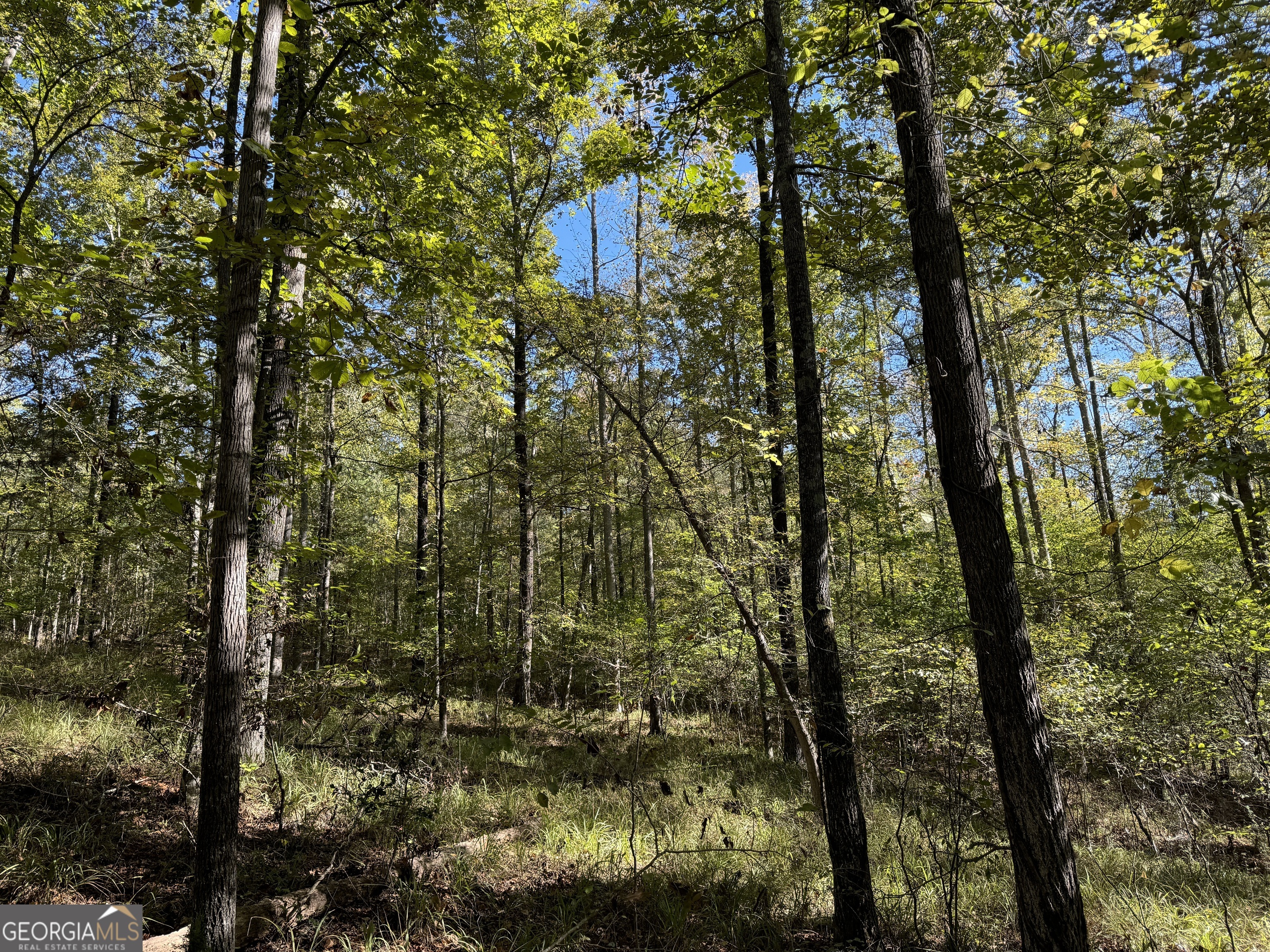 282.37-ac West Ellis Road Griffin, GA 30223 - Photo 13 of 15